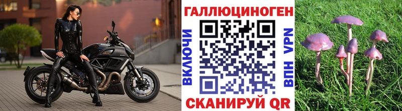 Псилоцибиновые грибы Psilocybine cubensis Болгар